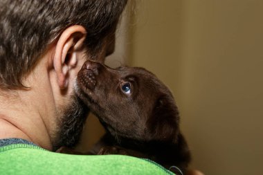  bir adamın kulak yakınındaki köpek yavrusu