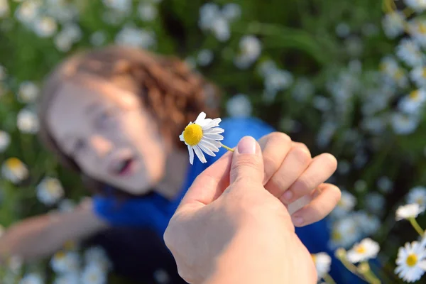 Son Gives Daisy Mother Clearing — Stock Photo, Image