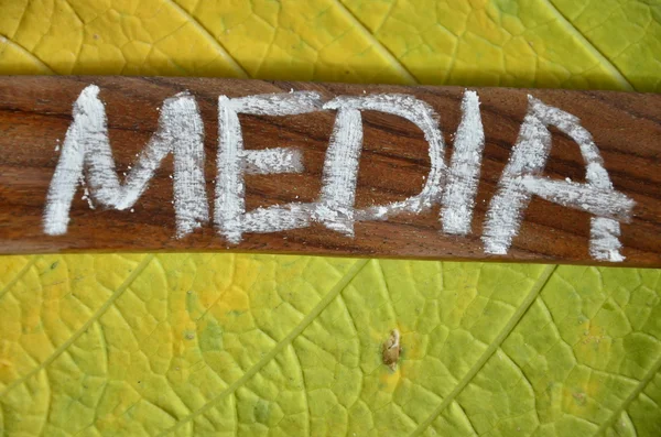Λέξη media στον αφηρημένο — Φωτογραφία Αρχείου