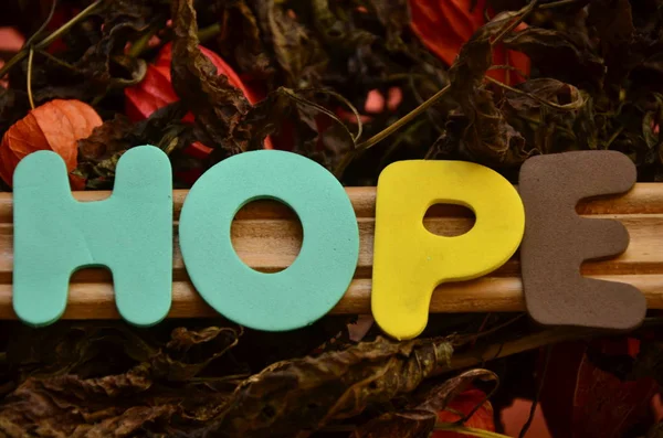 Slovo naděje na a resumé — Stock fotografie