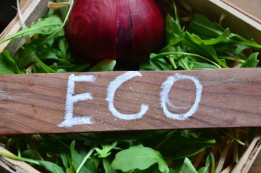 Word Eko soyut üzerinde