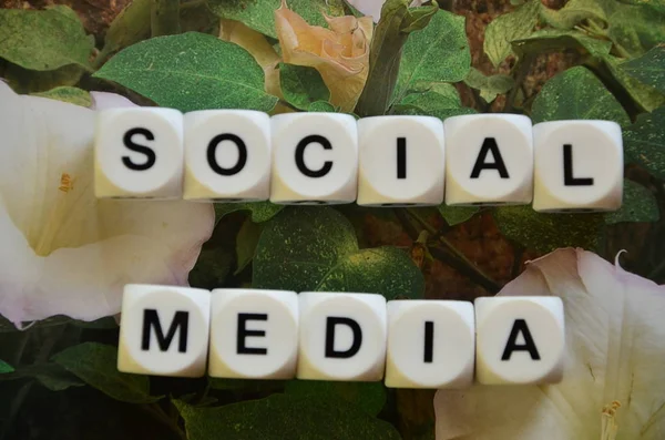 Woord sociale media — Stockfoto
