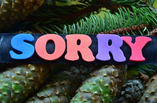 Word sorry on abstract — Stock Photo, Image