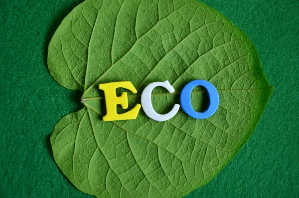 Mot eco sur un résumé — Photo