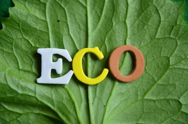 Mot eco sur un résumé — Photo