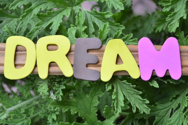 bir soyut rüyanda kelime