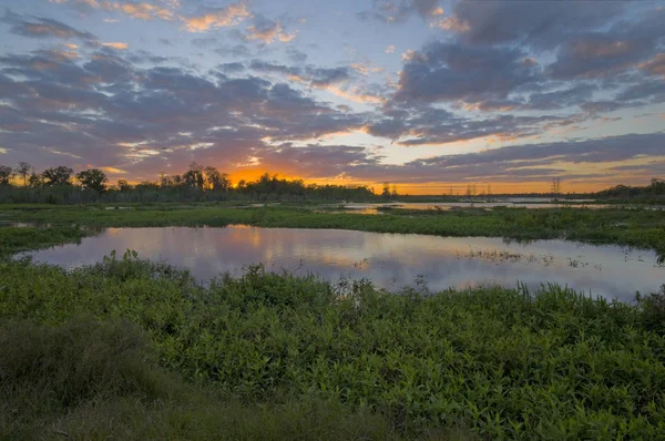 B Çemberi Bar Tatlı Su Bataklığı Günbatımı
