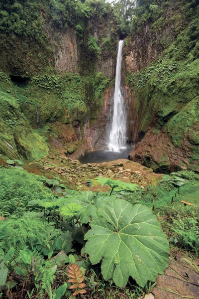 Cataratas del Toro Kosta Rika 'nın en yüksek şelalelerinden biri..