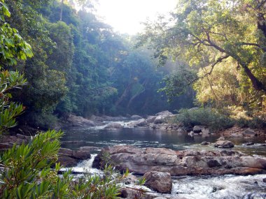 Malezya 'daki Taman Negara Milli Parkı         