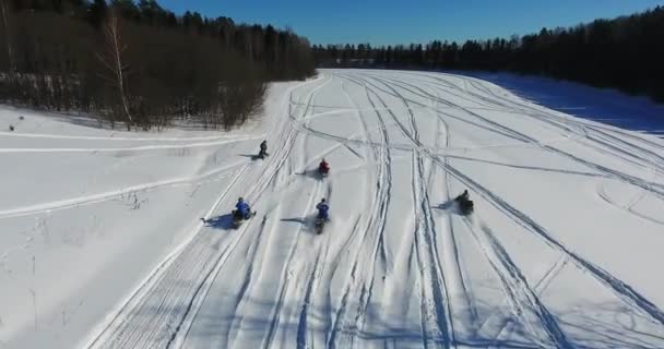El grupo en motos de nieve — Vídeo de stock