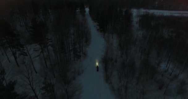 Snowmobile passeios através da floresta à noite vista traseira — Vídeo de Stock