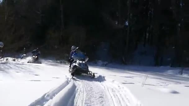 A viagem em motos de neve — Vídeo de Stock