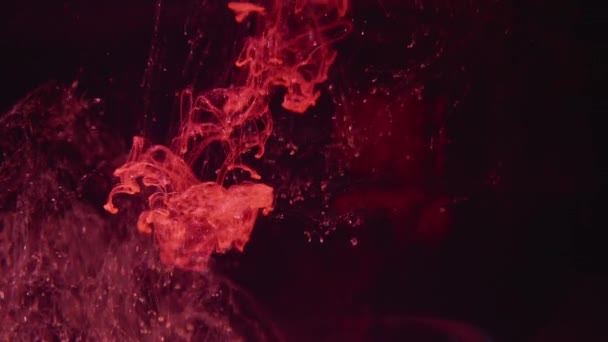 Röd färg i vattnet på en svart bakgrund slow motion — Stockvideo
