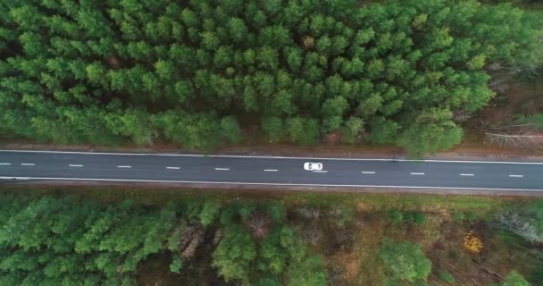 Flygfoto av en bil som kör genom en tallskog — Stockvideo