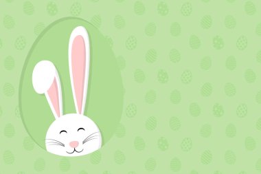 Yumurta ve beyaz tavşan arka plan. Paskalya afiş kavramı. Vektör.