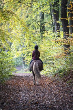 Girl rides a horse away along a wooded trail clipart