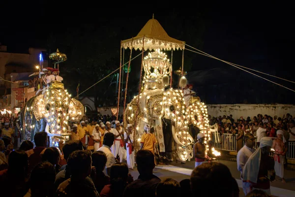 Elefante che trasporta la Sacra reliquia del dente di Buddha durante la E Immagini Stock Royalty Free