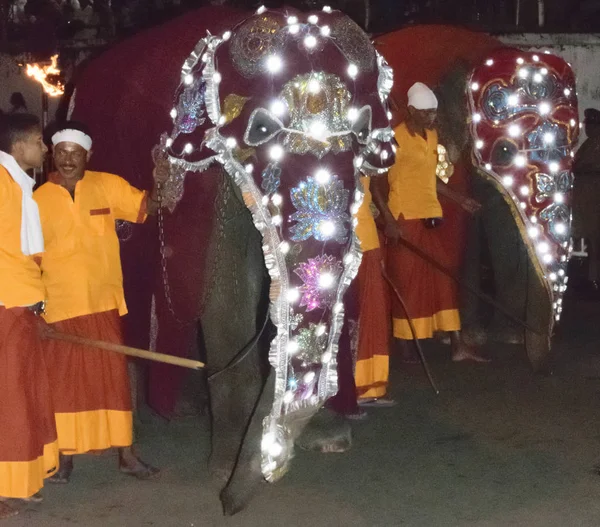 Ελέφαντας που αποτελούν μέρος της πομπής κατά τη διάρκεια της Esala Perahe — Φωτογραφία Αρχείου
