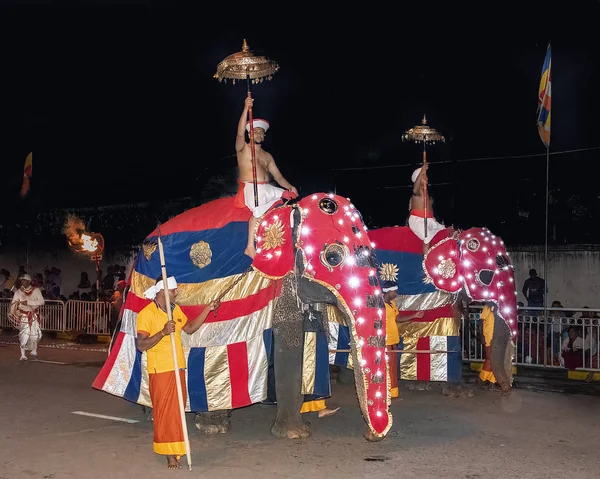Ελέφαντας που αποτελούν μέρος της πομπής κατά τη διάρκεια της Esala Perahe — Φωτογραφία Αρχείου