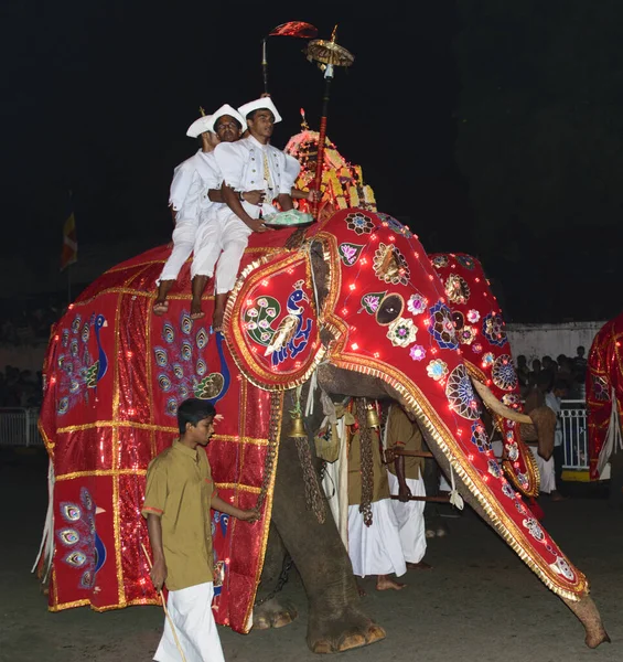 Kandy Sri Lanka Aug 2015 Elephant Riders Forming Part Procession — Φωτογραφία Αρχείου