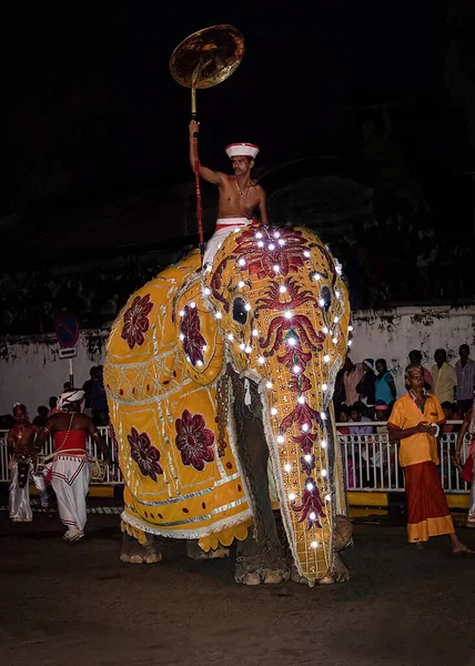 Kandy Sri Lanka Ago 2015 Elefante Jinetes Que Forman Parte —  Fotos de Stock