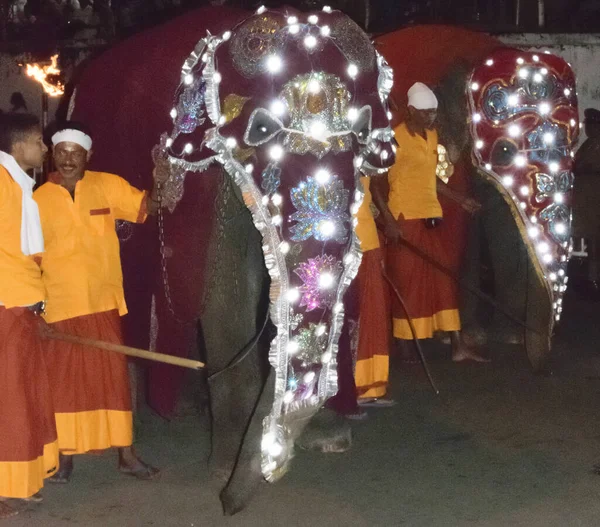 Kandy Sri Lanka Aug 2015 Elephant Forming Part Procession Esala — Φωτογραφία Αρχείου