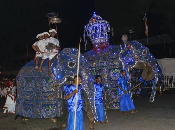 Kandy Sri Lanka Aug 2015 Elephant Forming Part Procession Esala — Φωτογραφία Αρχείου