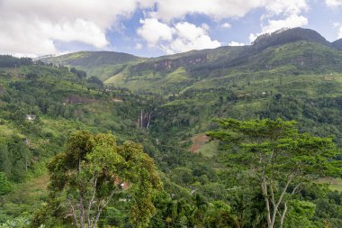 Nuwara Eliya, Sri Lanka, Ağustos 2015 - Gözün alabildiğine çay tarlaları