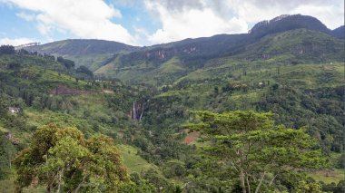 Nuwara Eliya, Sri Lanka, Ağustos 2015 - Gözün alabildiğine çay tarlaları