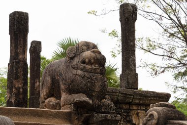 Polonnaruwa, Sri lanka, Sept 2015: Place ruins, reclaimed from the jungle. Polonnaruwa was established by the Cholas as capital city under the name Jananathapuram in the 10th century.