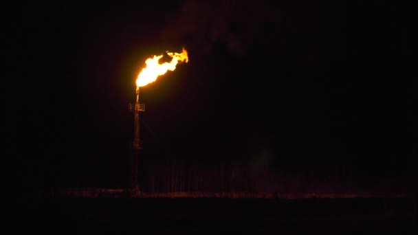 Oil Torch Flaring Incidental Gas — Stock Video