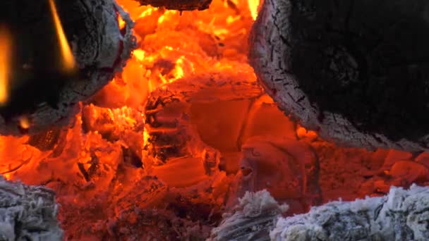 Fuego Campamento Birning Brasas Ardientes — Vídeo de stock
