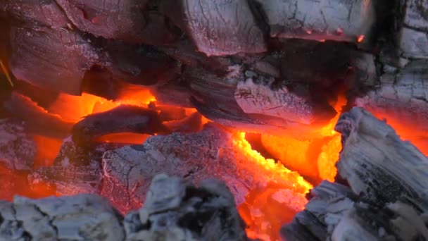 Foc Tabără Naştere Arderea Jartierelor — Videoclip de stoc