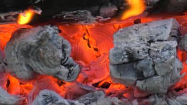 Birning kamp ateşi. Yanan köz.