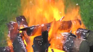 Birning kamp ateşi. Yanan köz.