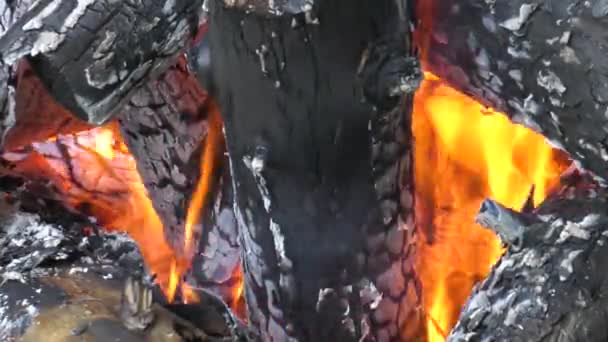 Fuego Campamento Birning Brasas Ardientes — Vídeo de stock