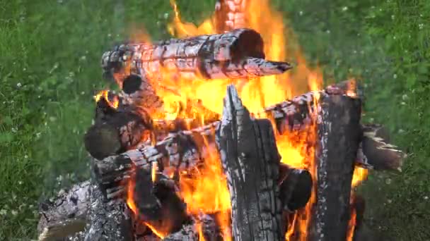 Birning Campfire Burning Embers — Stock Video