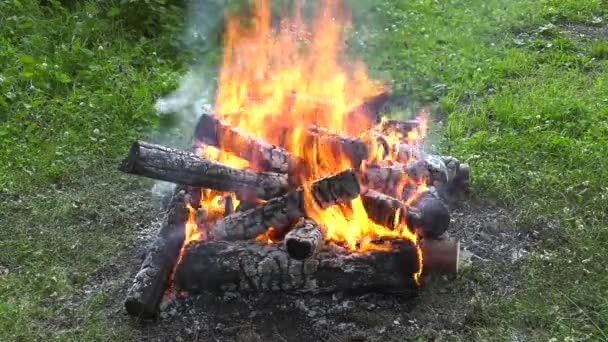 Birning Campfire Burning Embers — Stock Video