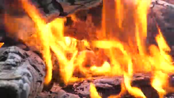 Birning キャンプファイヤー 非常に熱い燃え差し — ストック動画