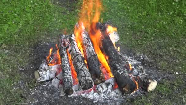 Ein Brennendes Lagerfeuer Glutnester — Stockvideo