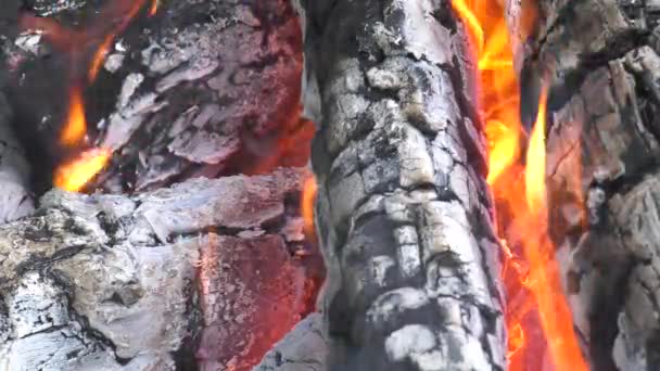 Ein Brennendes Lagerfeuer Glutnester — Stockvideo