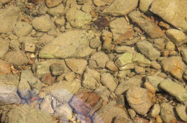 Dağ nehrinin dibinde çakıl taşları.