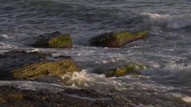 Kaspisches Meer Bei Sonnenuntergang Wellen Laufen Auf Felsiges Ufer — Stockvideo