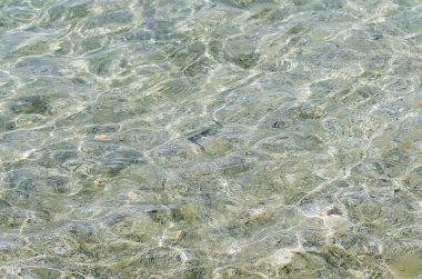 Hazar Denizi. Temiz deniz suyu.