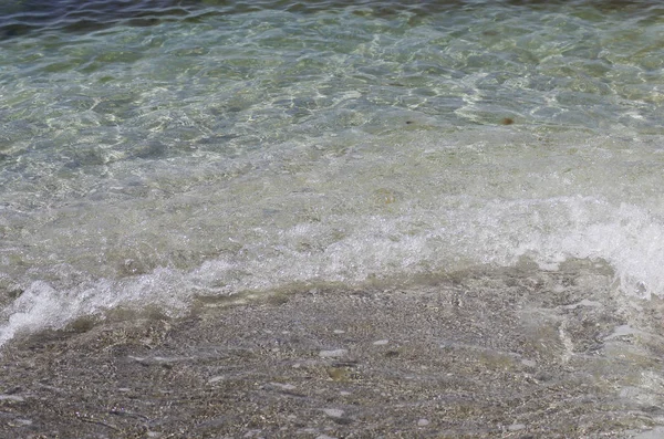 Hazar Denizi. Temiz deniz suyu.