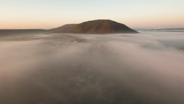 Overblijfselen Van Het Rif Van Oude Zee Samengesteld Uit Kalksteen — Stockvideo