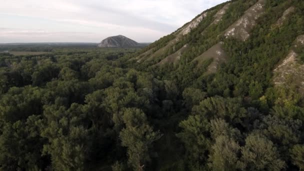 Pozůstatek Útesu Starobylého Moře Složeného Vápence Shikhan Kushtau Letního Dne — Stock video