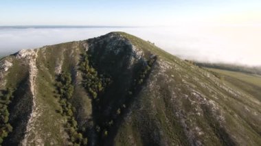 Kireç taşı Shikhan Yuraktau 'dan oluşan antik deniz resifinin kalıntıları. Belaya Nehri 'nin taşkın ovasında Kızılderili yazı. Hava görünümü.