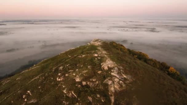 Overblijfselen Van Het Rif Van Oude Zee Samengesteld Uit Kalksteen — Stockvideo