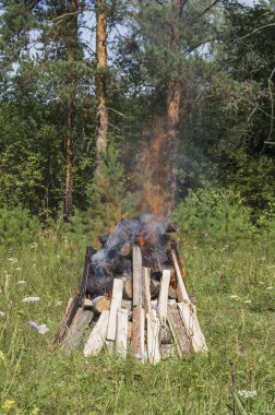 Ormanda yanan şenlik ateşi.